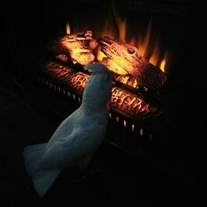 Meet your Posher, Vickie